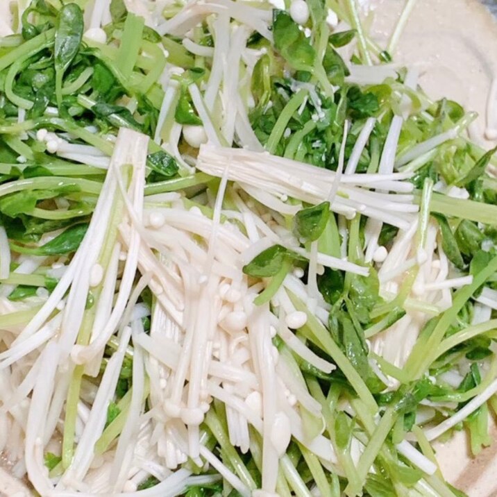 レンチン副菜 えのきと豆苗の白だしあえ レシピ 作り方 By ままま 楽天レシピ レンチン副菜 えのきと豆苗の白だしあえ レシピ 作り方 By ままま 楽天レシピ